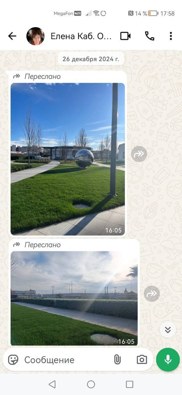 Отзыв клиента — фото озеленения в Сочи