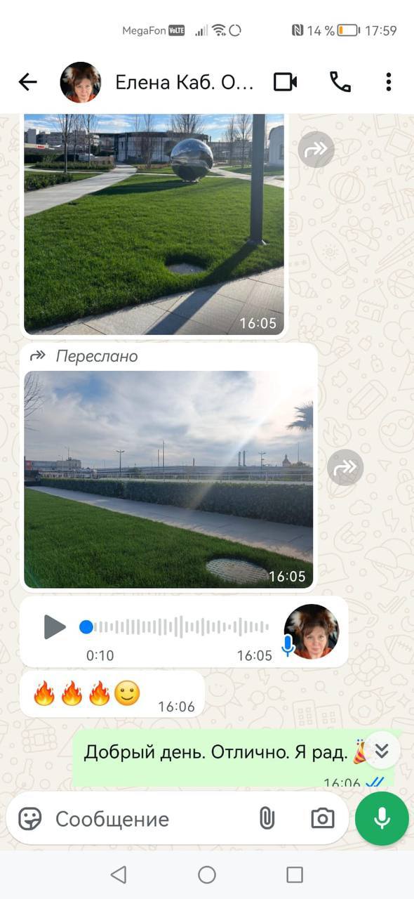 Отзыв клиента — результат озеленения территории