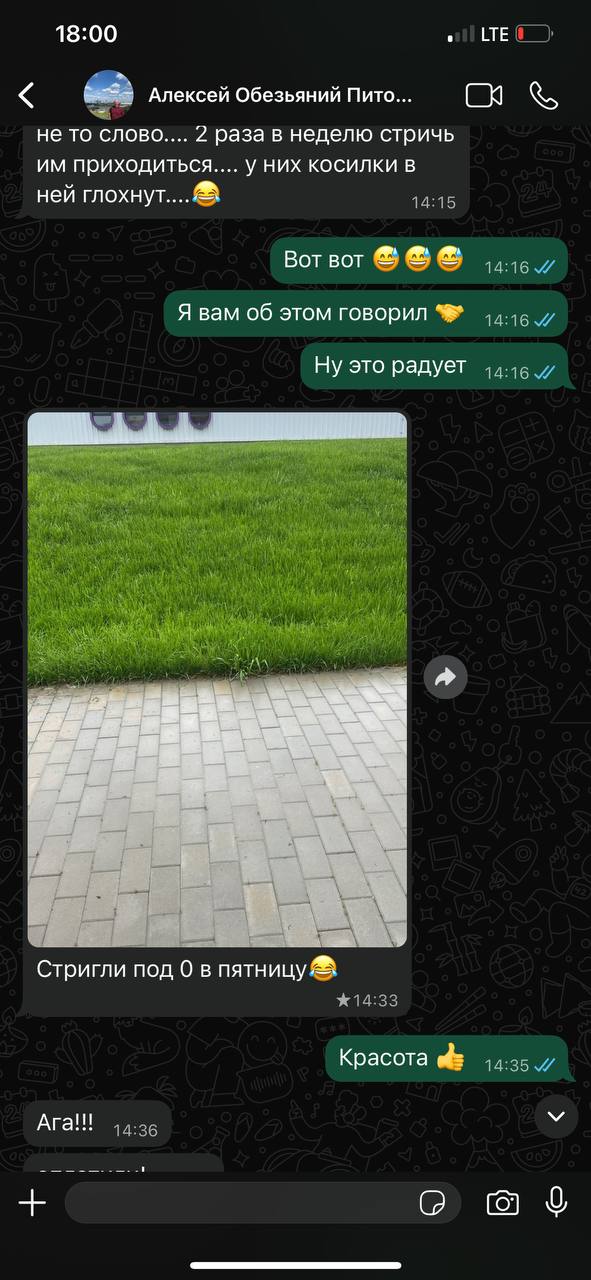 Отзыв клиента — газон после нашей почвосмеси